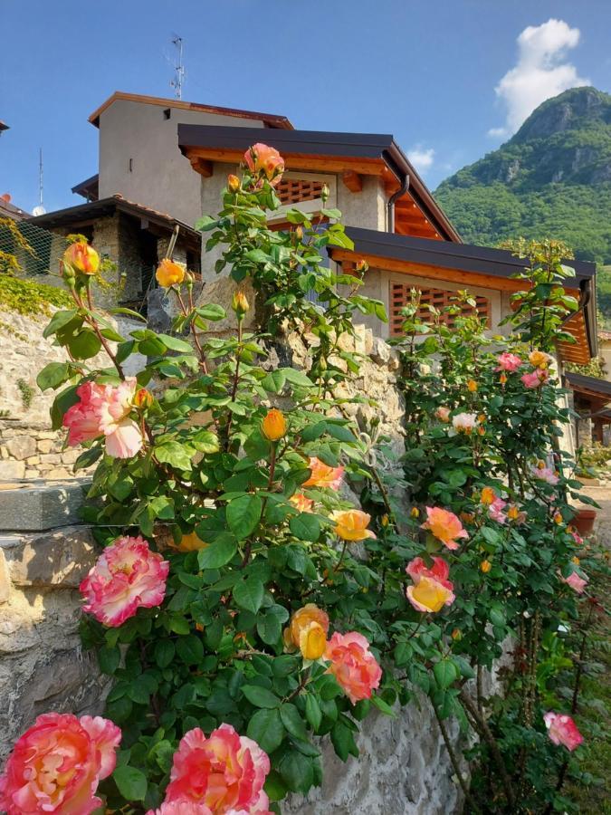 Our Happy Place - Casa Vacanze Per Il Viaggiatore Slow Mandello del Lario Exterior photo